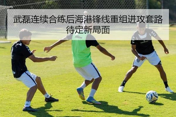 武磊连续合练后海港锋线重组进攻套路待定新局面
